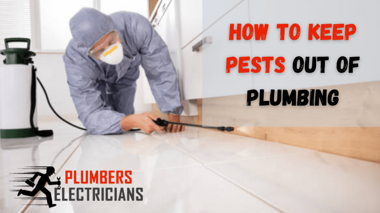 How To Keep Pests Out of Plumbing
